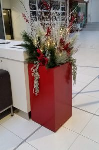 whole-food-park-royal-1