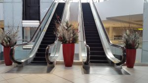 whole-foods-park-royal-2