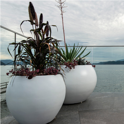 White sphere planters on a waterfront patio