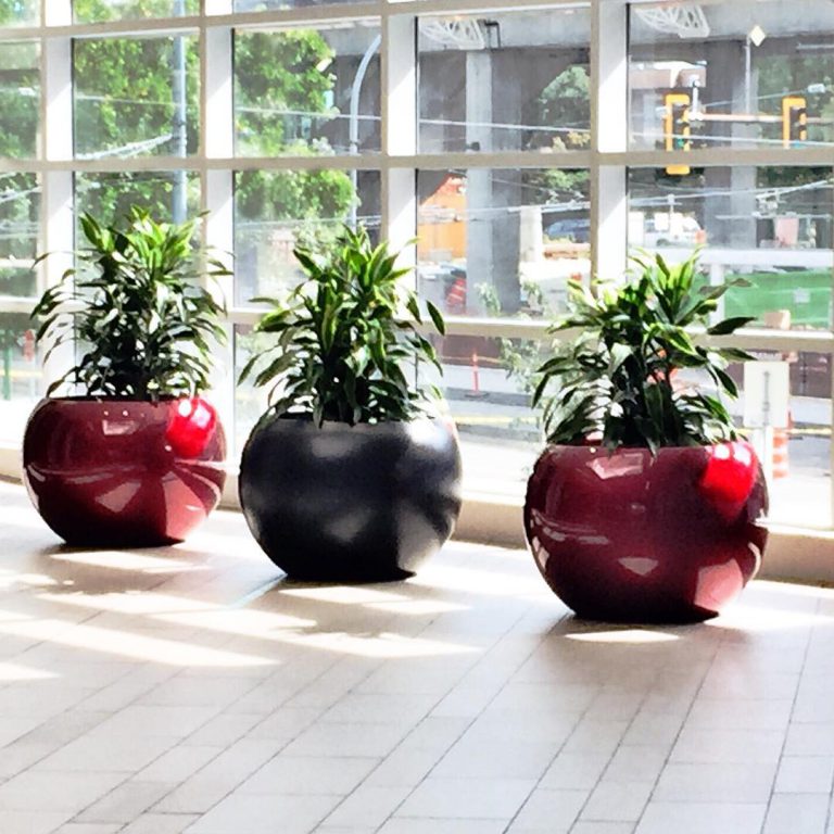 Large Ruby fiberglass planters used in a Bishop Landscaping project.