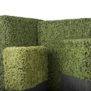 Ready-made Hedges