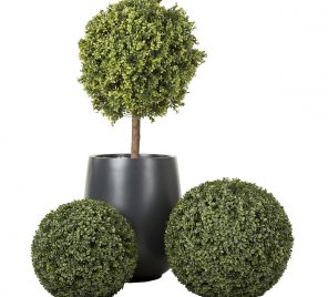 Shrub And Spheres