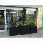 planters at Langley Hospital