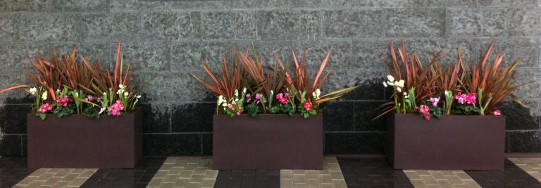 Large modern rectangular outdoor planters suitable for residential and commercial projects.