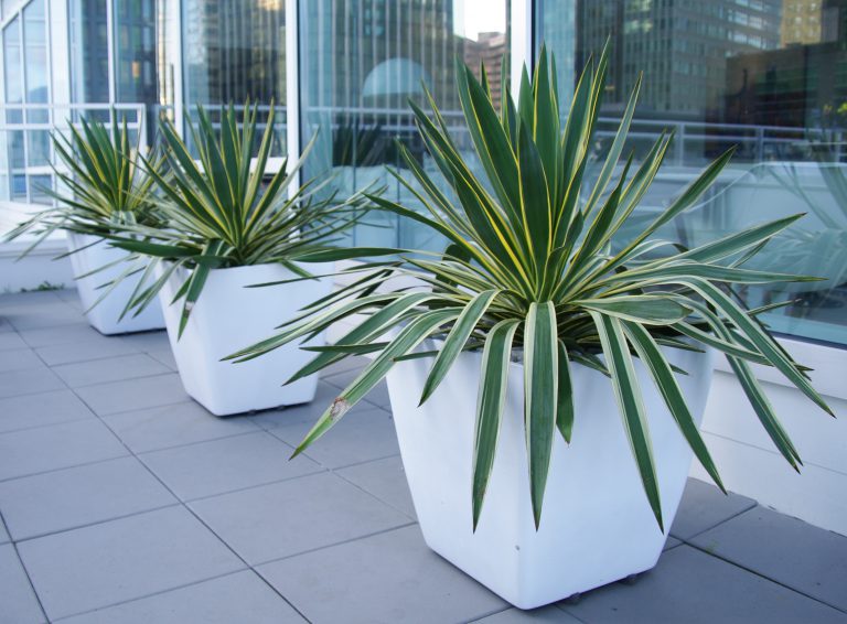 Fiberglass Vincent planters in White used in a modern residential patio installation.