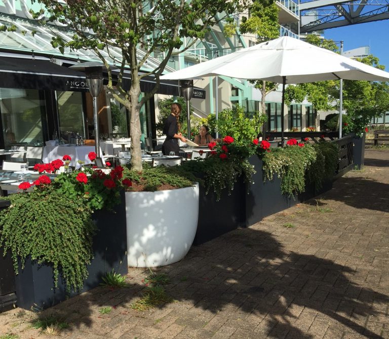 Extra large and tall black planters installed at Ancora Restaurant for modern commercial landscaping.