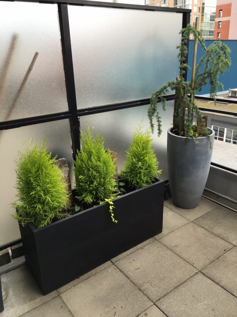 Our fiberglass Trent Rectangle and tall Harry Vase in Charcoal dressing up a residential patio divider.