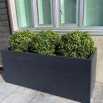 Artificial Boxwood