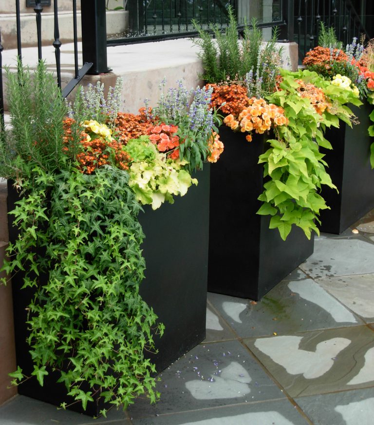 Tall black planters for outdoor space offering elegant visual framing all year round.