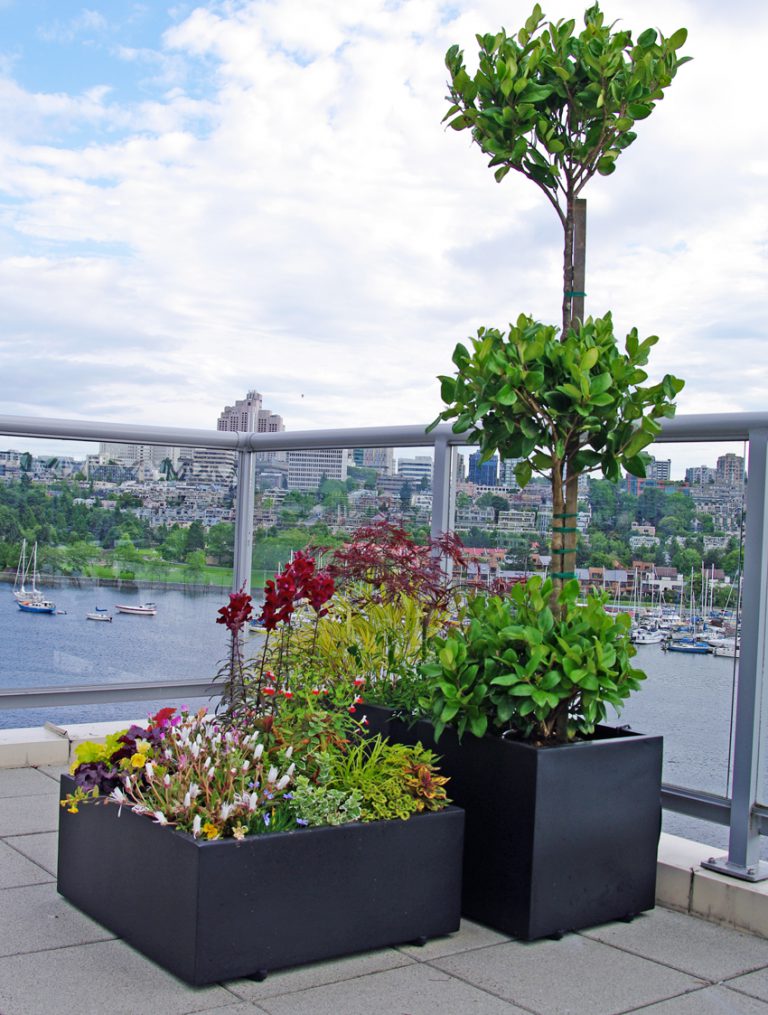 Black fiberglass planters creating bold contrast in a modern waterfront outdoor space.