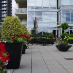 Large downtown deck. Elemental Garden Design.