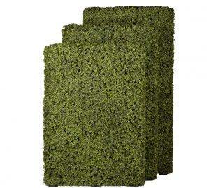 Boxwood Panel 3 Sizes Sized