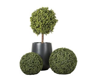 Artificial Shrubs & Plants