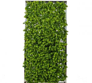 Green Wall Panel Four 1200px