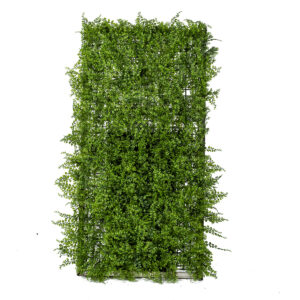 Framed FERN Panel