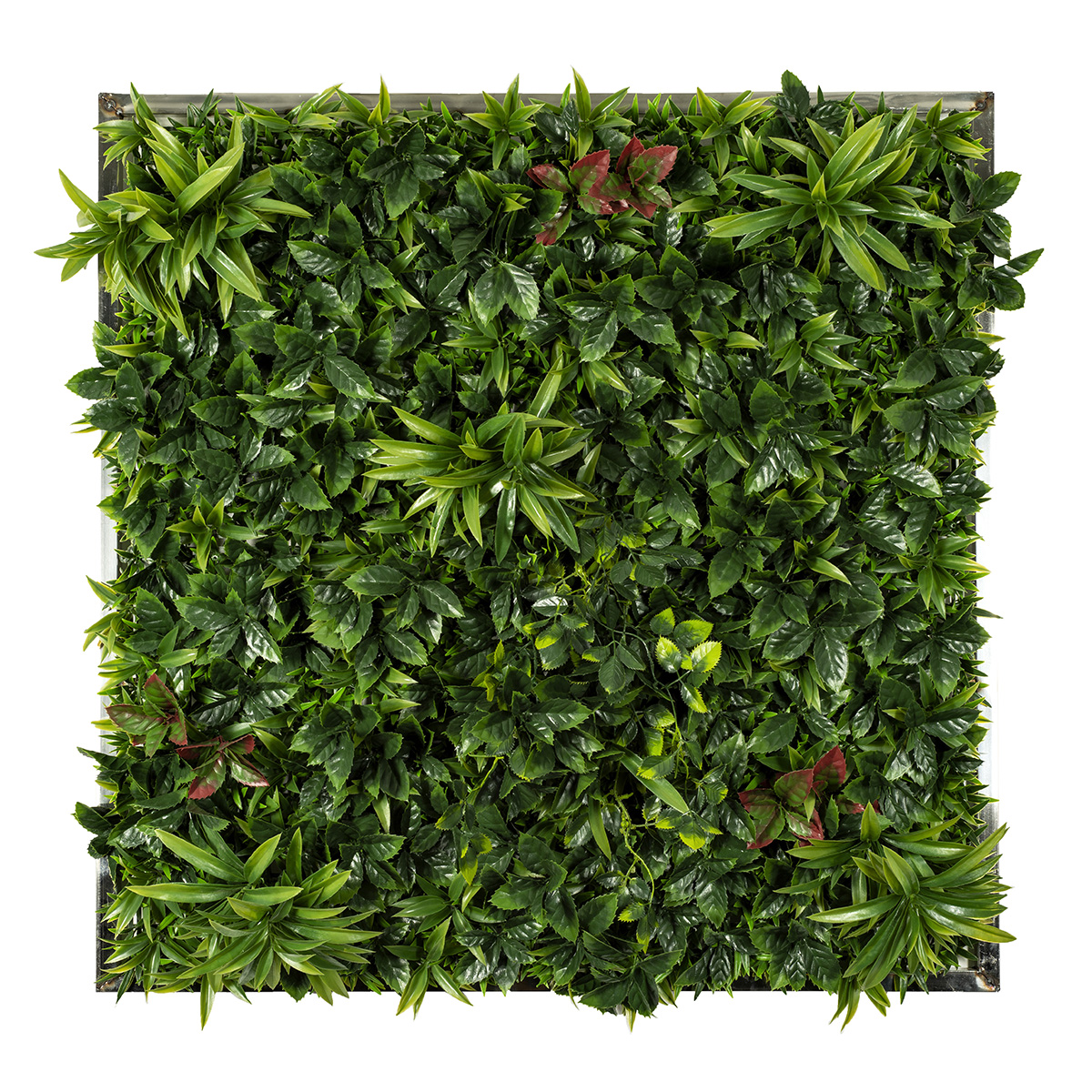 Green Walls