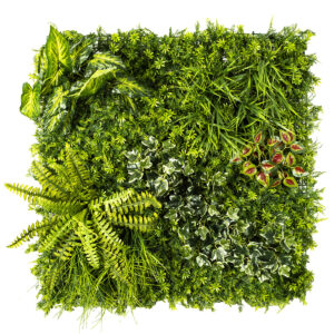 FERN IVY Panel