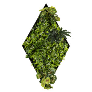 DIAMOND FRAMED GREENWALL
