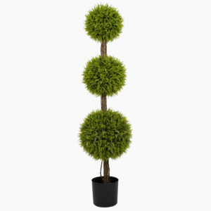 FERN TOPIARY
