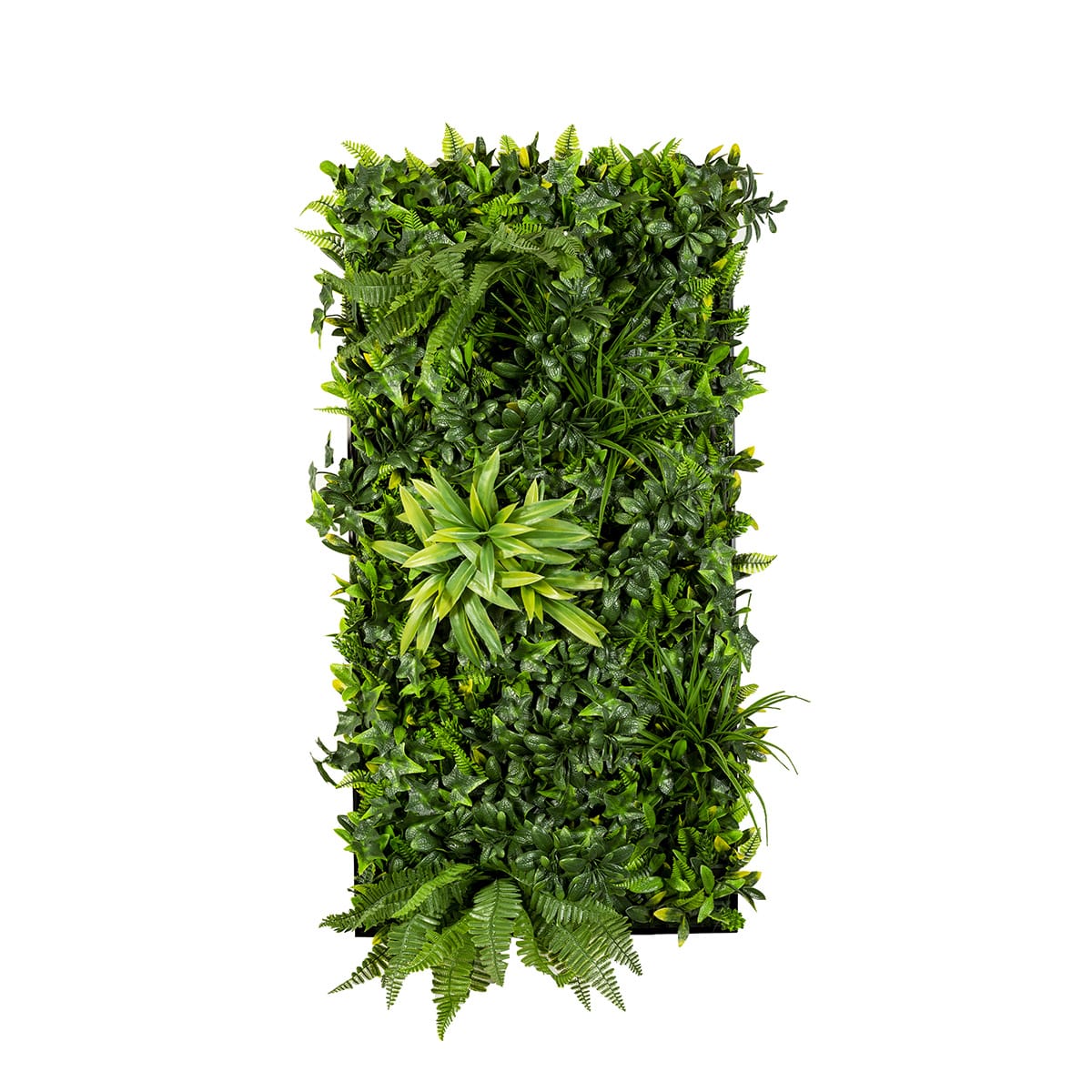 Rectangle-Greenwall-20x39.5-1200px