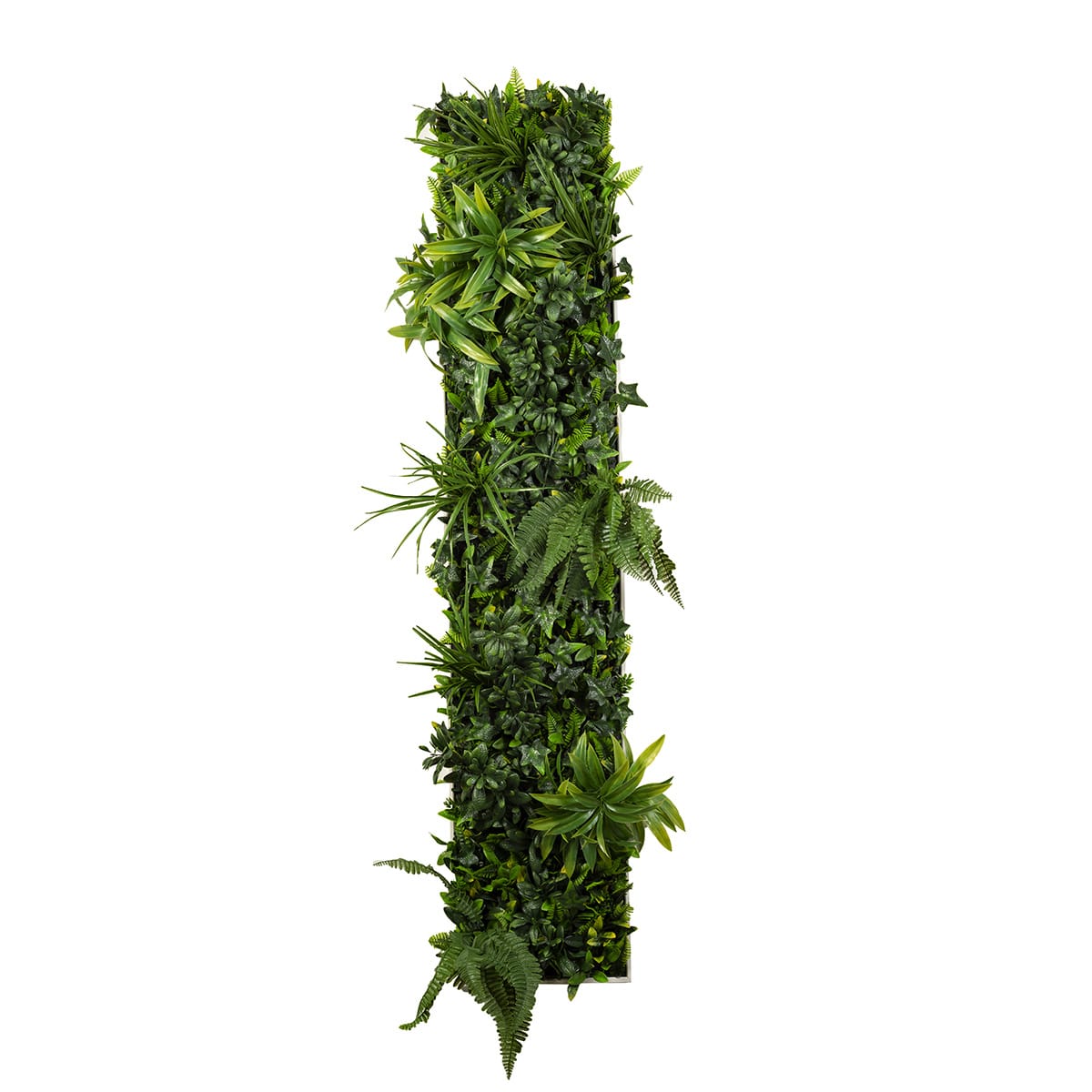 Rectangular-Greenwall-12-60-1200-px