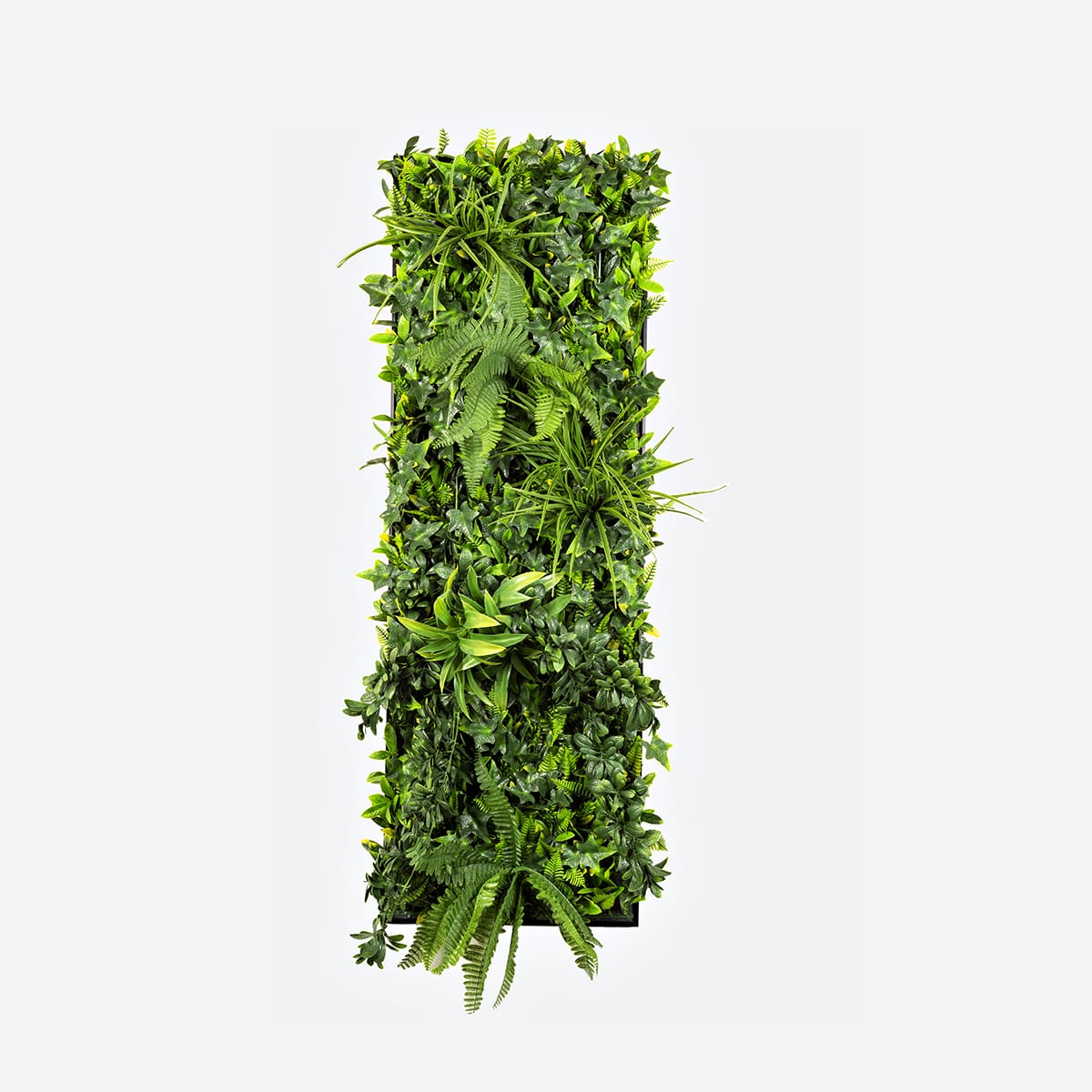 Rectangular-Greenwall-16-48_-1200px