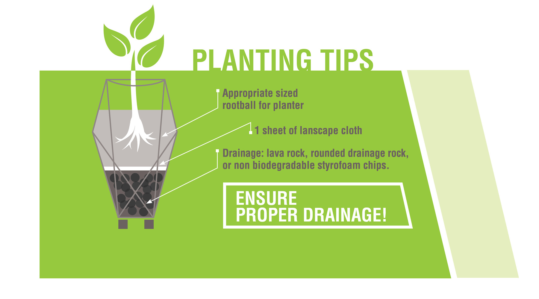 Planting Tips