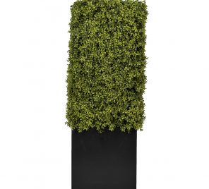 47.5 Hedge Cube Planter 1200px