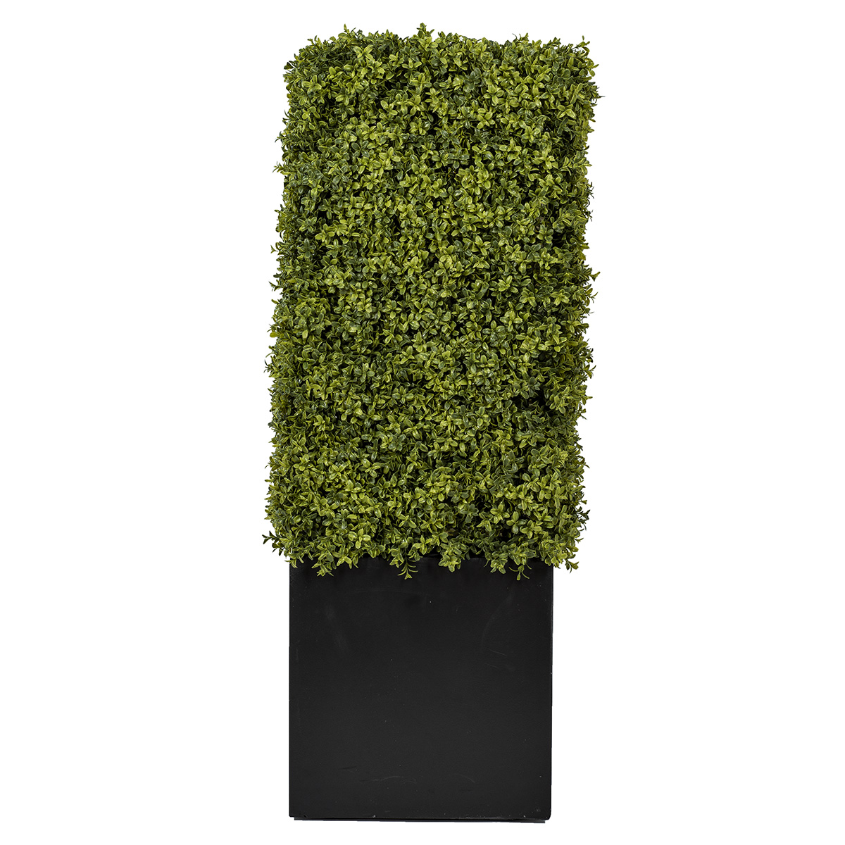 47.5_-hedge-cube-planter-1200px