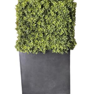 HEDGE/PLANTER COMBO - THE STAN