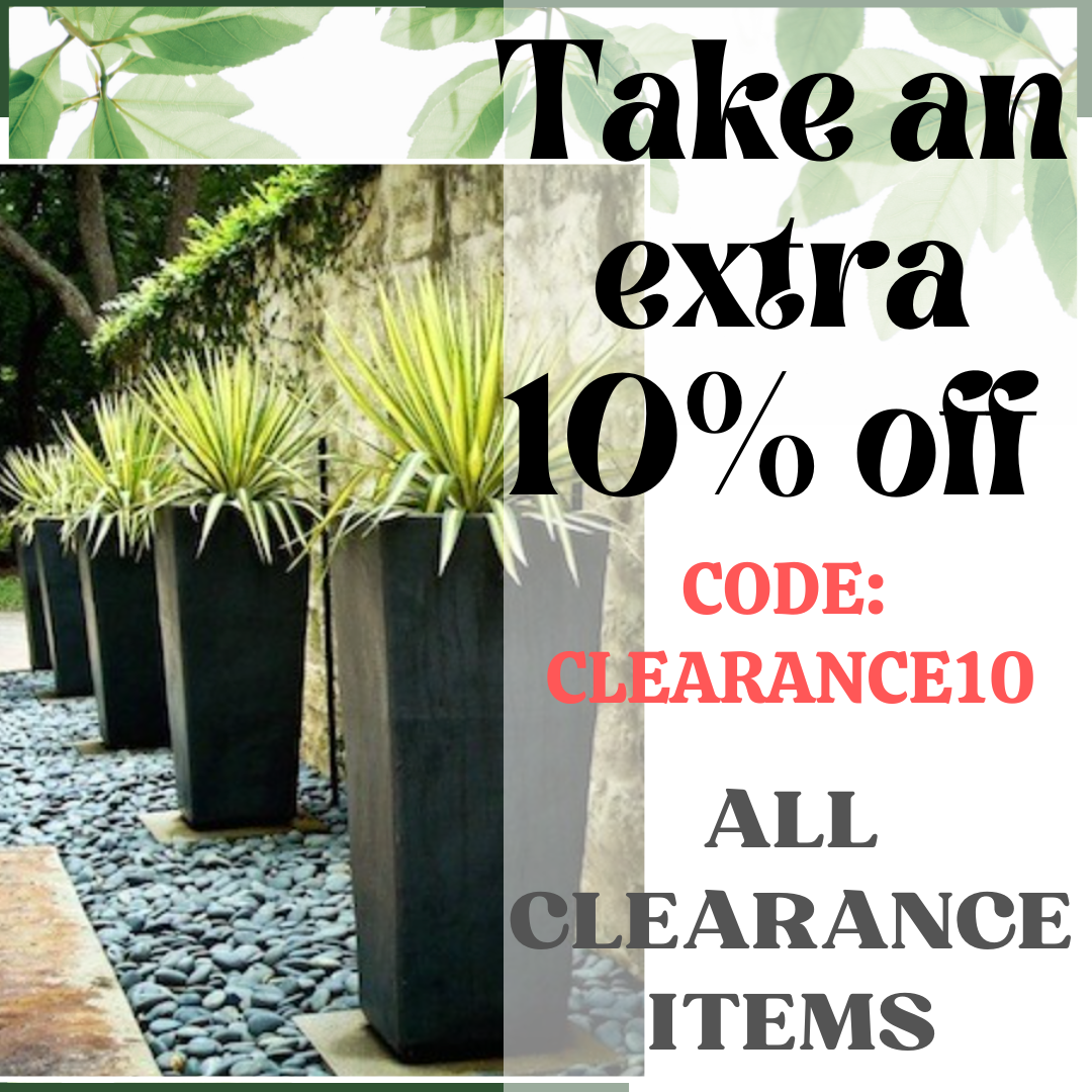 Special Offer