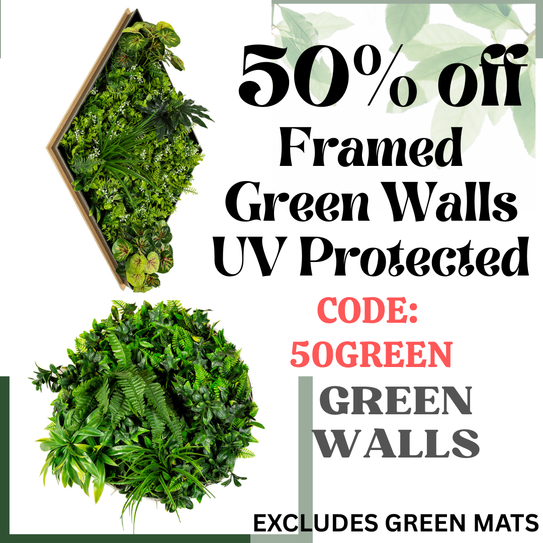 Special Offer