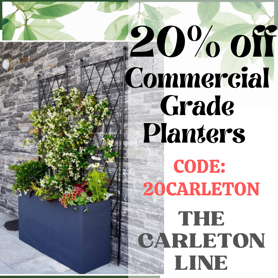 Special Offer