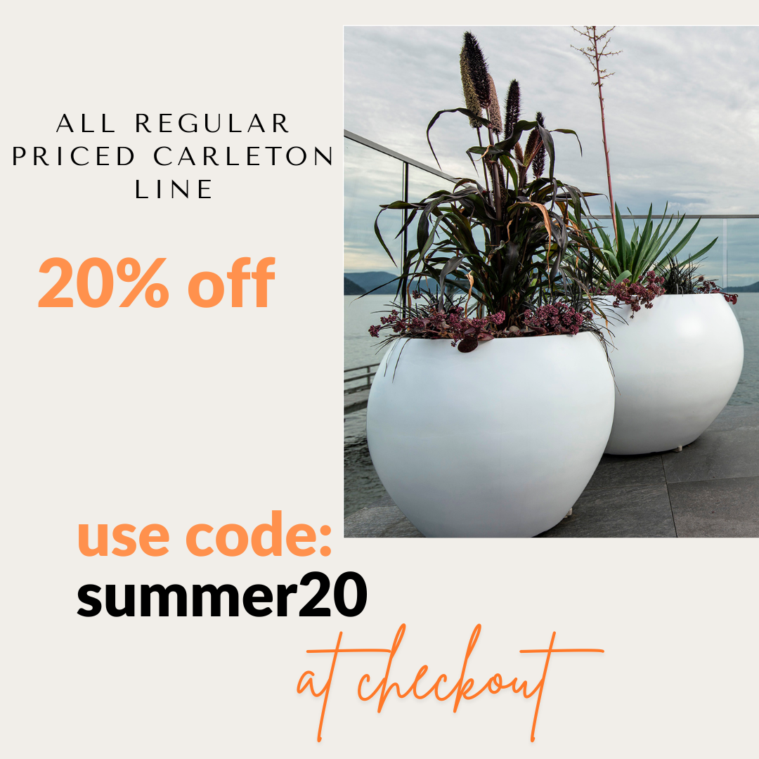 Special Offer