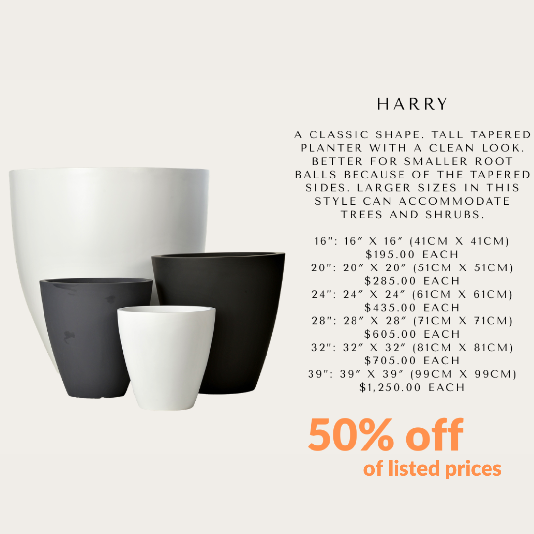 Special Offer
