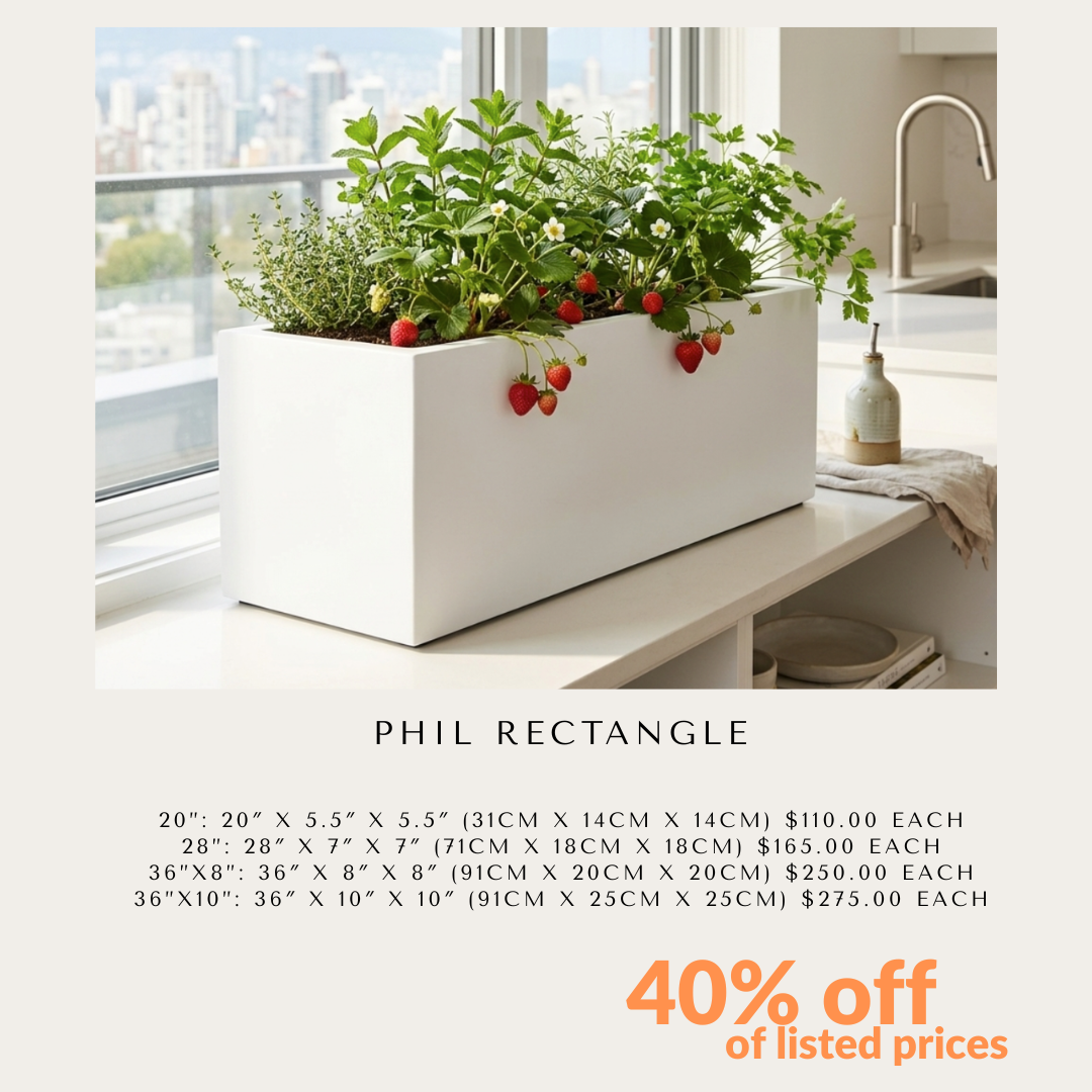 Special Offer