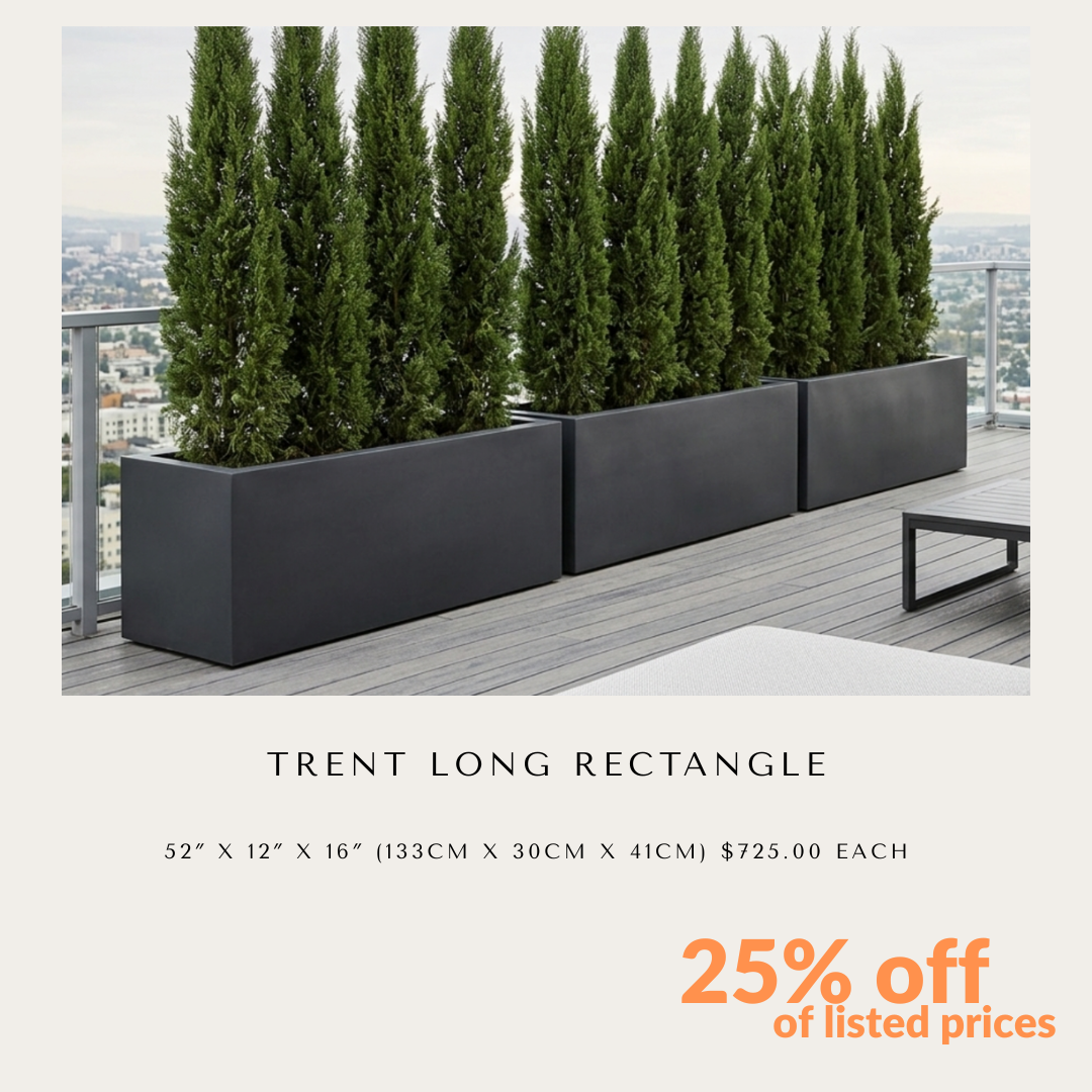 Special Offer
