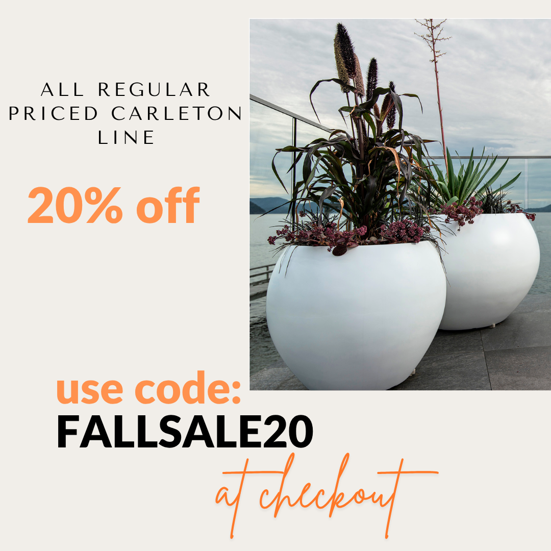 Special Offer
