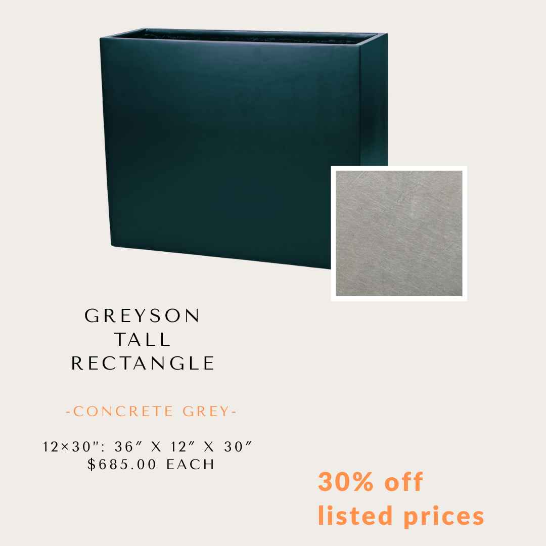 Special Offer