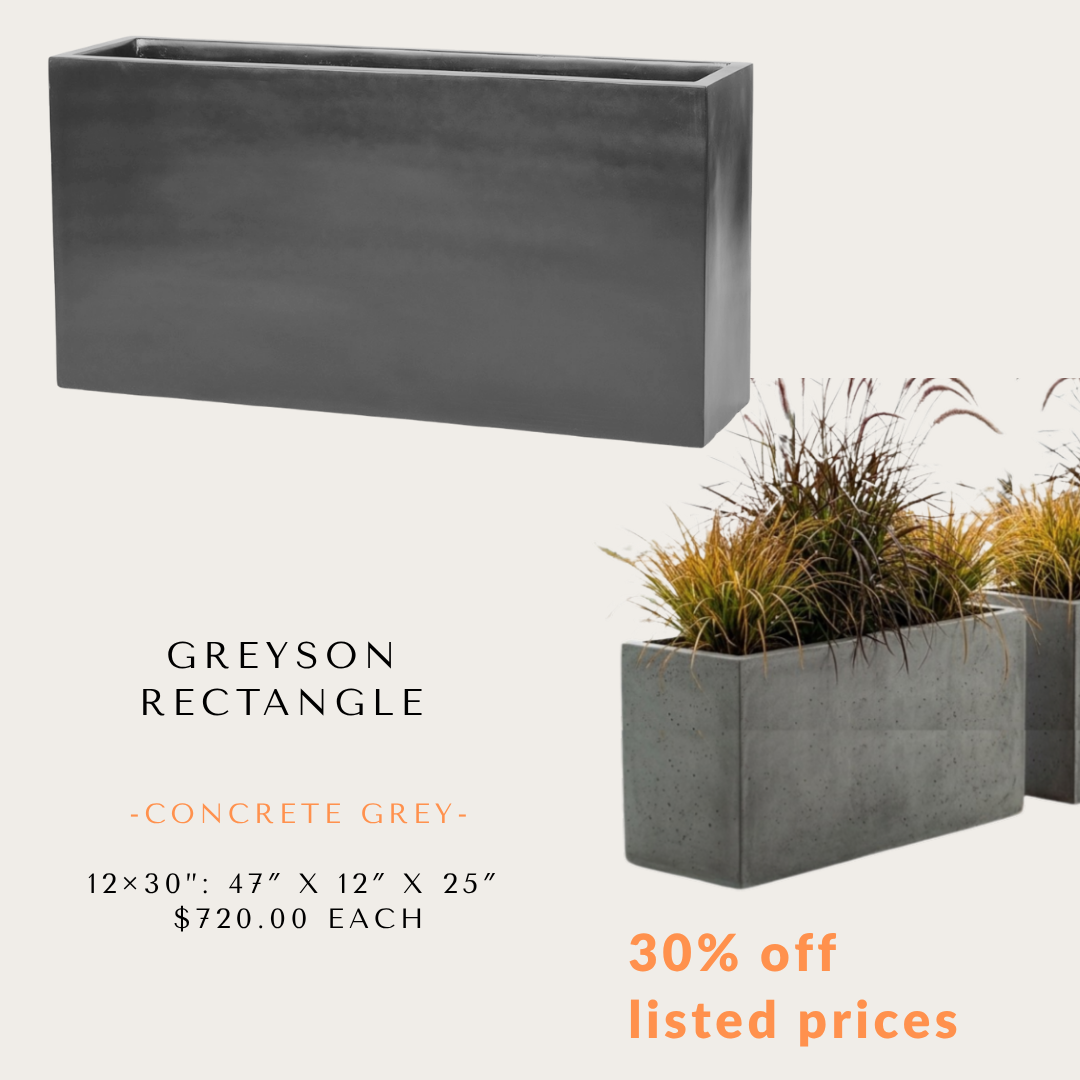 Special Offer