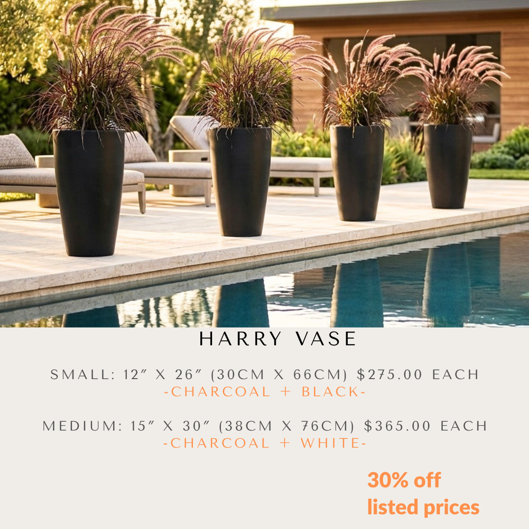 Special Offer