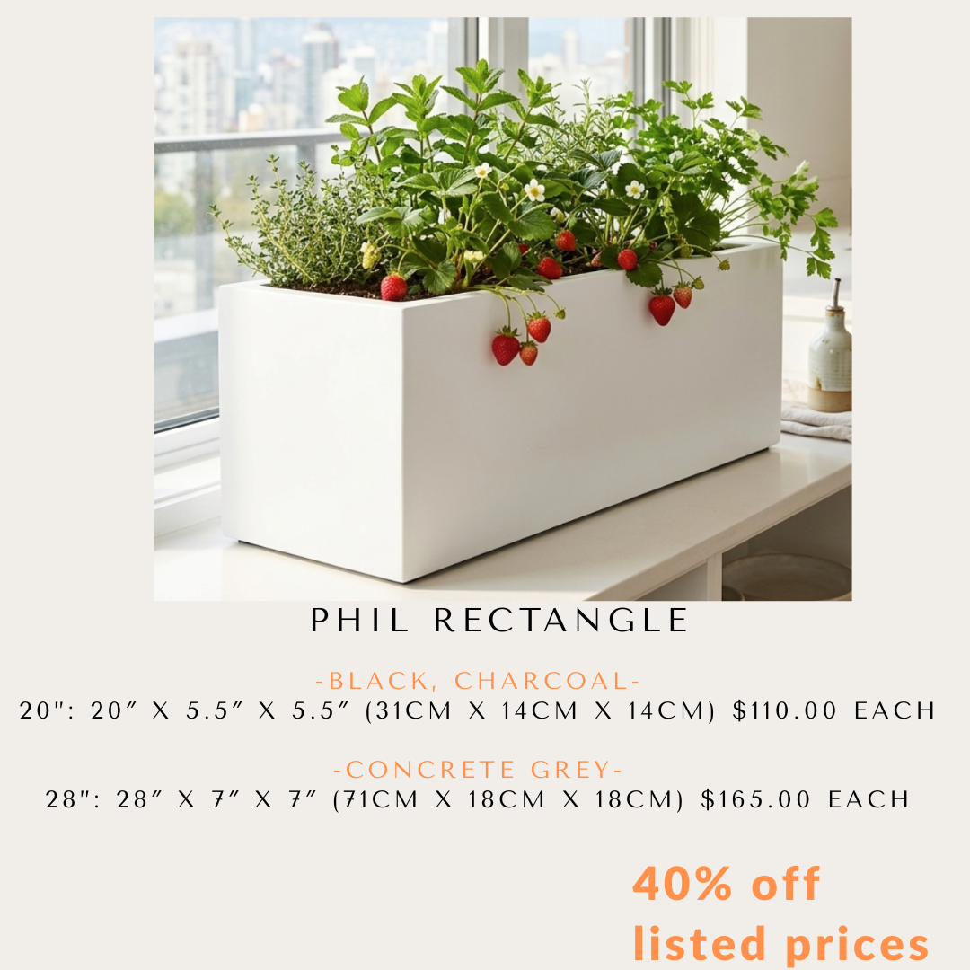 Special Offer